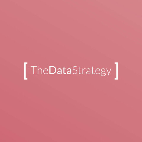 Розробка фірмового стилю для “The Data Strategy”.05 | BrandME